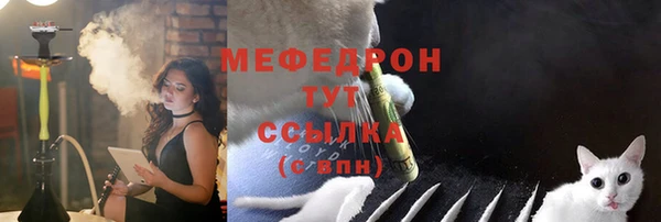 ешки Белокуриха